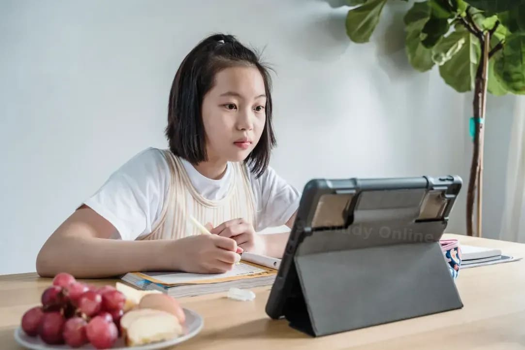 MapleBridge Study Online 12