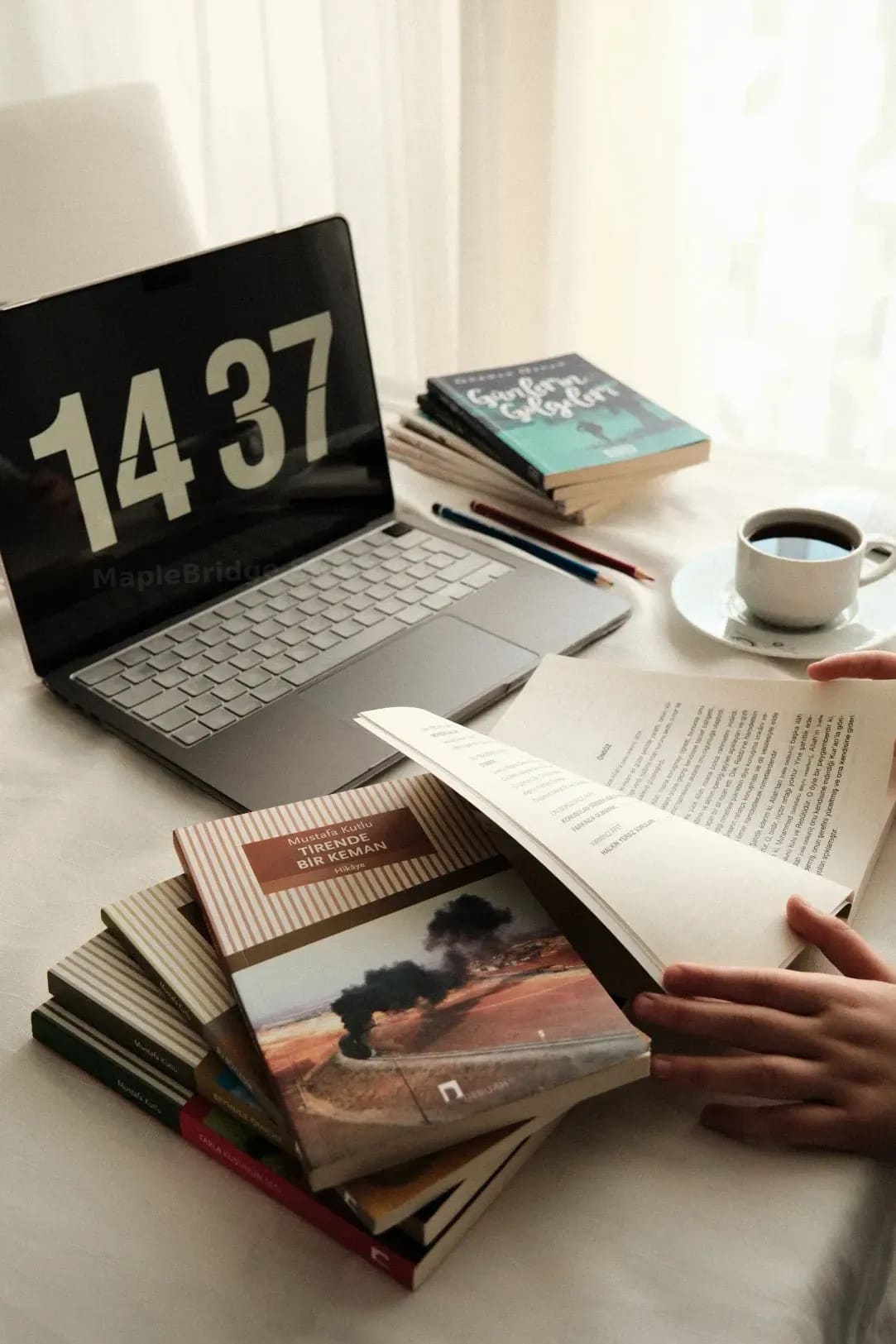 MapleBridge Study Online 5